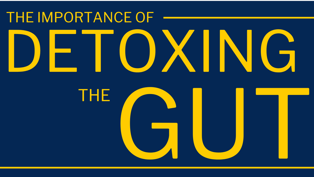 Nurturing Your Gut: The Vital Role of Detoxing for Digestive Health - Karin Nahmani